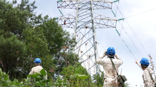 北碚 翻山越岭巡视线路，全力保障夏季供电安全