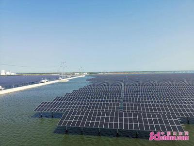 进农场走园区——外国Z世代青年体悟山东农业高质量发展新篇章